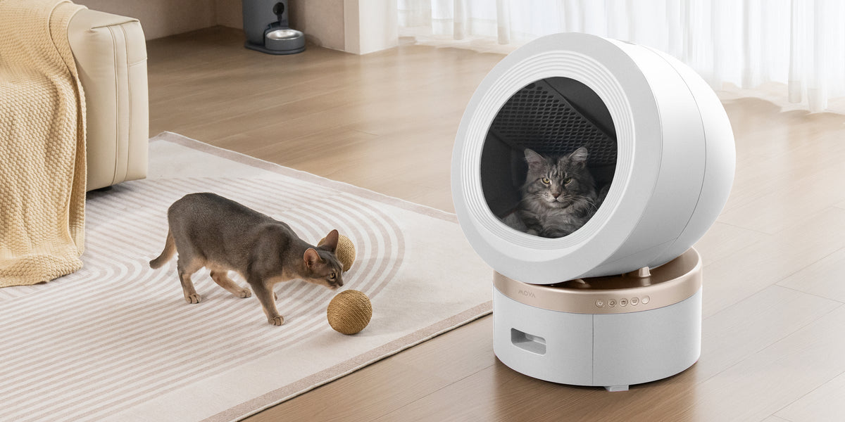 Smart Paws Parenting, Care Anytime, Anywhere