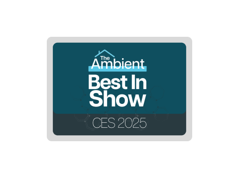 Ambient Best In Show