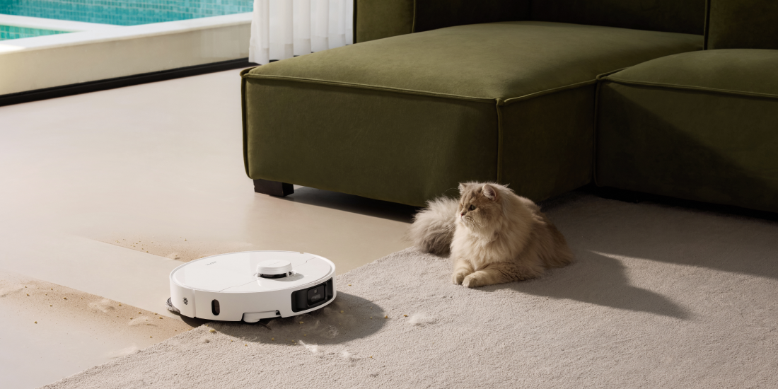 White robot vacuum cleaning a beige carpet next to a fluffy ginger cat in a sunlit living room